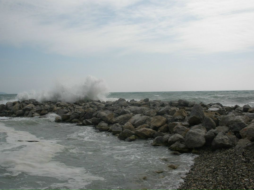 Александр Жунка фотография #12