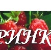 Ірина Занюк фотография #13 (источник - https://vk.com/id144608453)