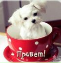 Вікуся Ткач фотография #33 (источник - https://vk.com/id155266672)