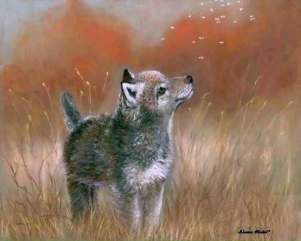 Игорь Михеев фото №1