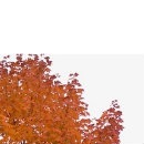 Ліля Гончар фотография #29 (источник - https://vk.com/id63565846)