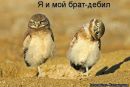 Фотография Харитоновой Олеси