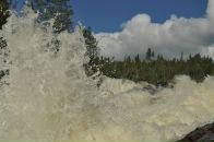 Фотография Дремучевой Анны