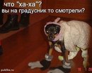 Ніка Сенюк фотография #19 (источник - https://vk.com/id170065259)