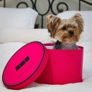 Фотография Шарипов Руслан