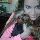 ♥miley Cyrus♥ фотография #29 (источник - https://vk.com/id145511443)