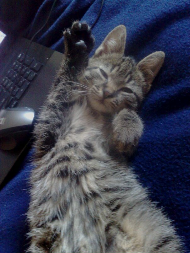 Ksenya Demchenko фотография #49