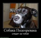 Фотография Лакомой Ольги