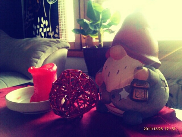 Эля Лёшенка фото №26