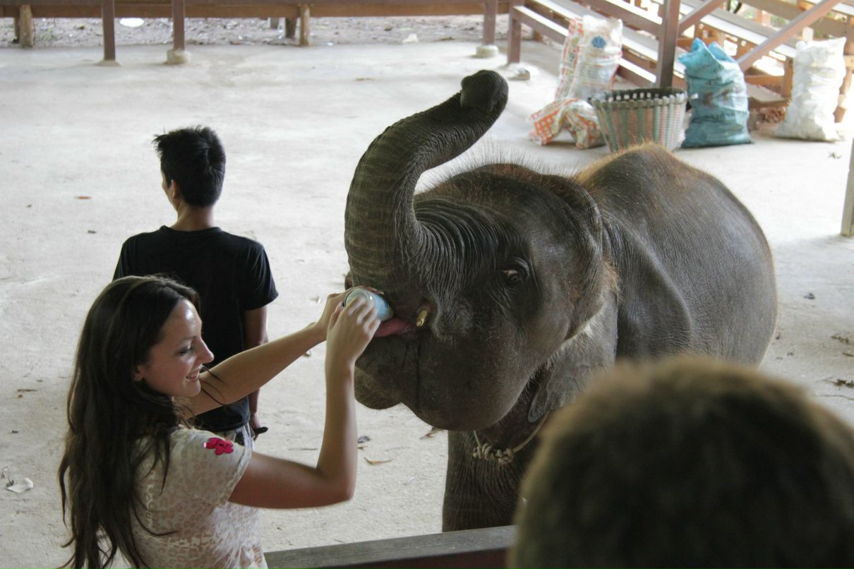 Дмитрий Симонов фотография #36