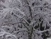 Вова Олійник фотография #33 (источник - https://vk.com/id119859699)