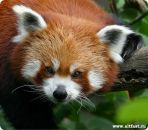 Фотография Воротилова Вадима