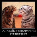 Софія Мельник фотография #1