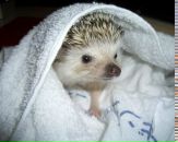 Фотография Кудряшовой Галины