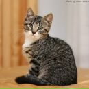 Фотография Крикуновой Лилии