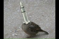 Сергій Стаднік фотография #9 (источник - https://vk.com/id16153253)