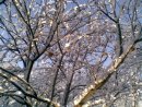 Віктор Корженко фотография #8 (источник - https://vk.com/id27793804)
