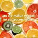 Андрій Баглай фотография #9 (источник - https://vk.com/id208909037)