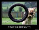 Юра Скрібенець фотография #12 (источник - https://vk.com/id54408192)