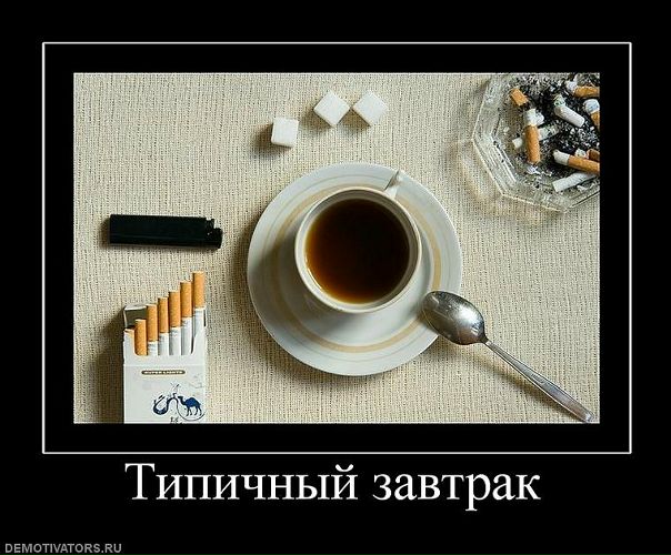 Дмитрий Аверенков фото №1