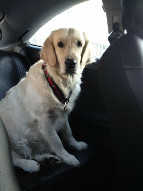 Яна Зыкова фотография #34