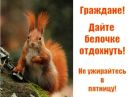 Віталік Стародуб фотография #33 (источник - https://vk.com/id151696328)