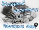 Ірина Твердохліб фотография #18 (источник - https://vk.com/id163354255)