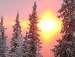 Льоня Огороднік фотография #33 (источник - https://vk.com/id103384318)