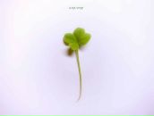 Фотография Гузова Максима