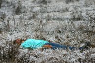 Алан Айверсон фотография #40 (источник - https://vk.com/id2580733)