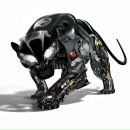 Фотография Иошина Ивана