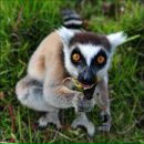 Фотография Стрижакова Владимира