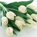 Софійка Киця фотография #32 (источник - https://vk.com/id161506940)