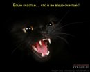 Фотография Москвиной Елены