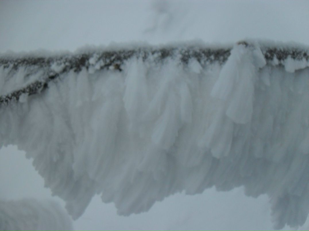 Дмитрий Журба фотография #20