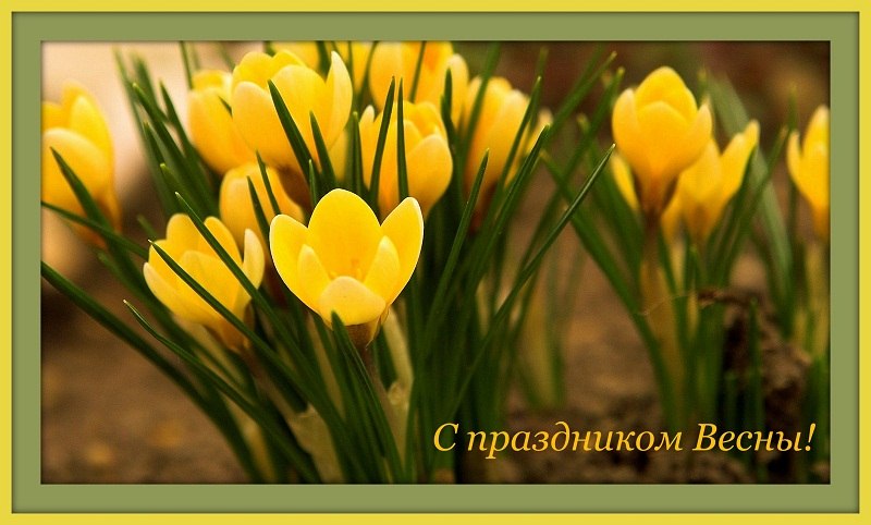 Rogneda Kovaleva фотография #35