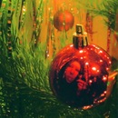 Фотография Гладышевой Юлии