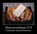 Марік Данилович фотография #25 (источник - https://vk.com/id157344477)