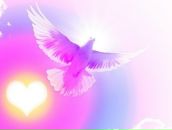 Фотография Елынина Евгения