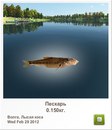 Діма Чейпеш фотография #25 (источник - https://vk.com/id160940576)