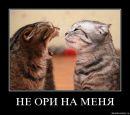 Сергій Главацький фотография #13 (источник - https://vk.com/id165915878)
