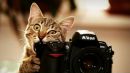 Фотография Григорьева Константина
