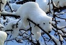 Фотография Татьяна Жулитова-Сурова