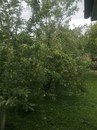 Міша Бігняк фотография #48 (источник - https://vk.com/id168931353)