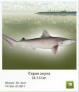 Сєрий Матвійшин фотография #23 (источник - https://vk.com/id111466338)