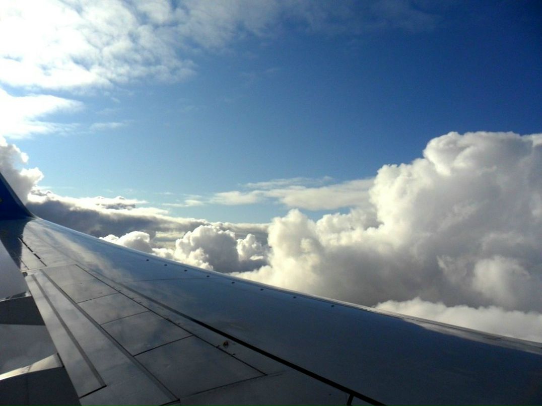 Татьяна Мищенко фотография #36