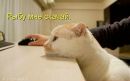 Ігор Крисенко фотография #48 (источник - https://vk.com/id64899113)