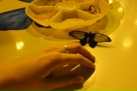 Фотография Кудишиной Анастасии