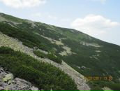 Вова Осійчук фотография #10 (источник - https://vk.com/id161444278)