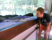 Фотография Туркина Вадика